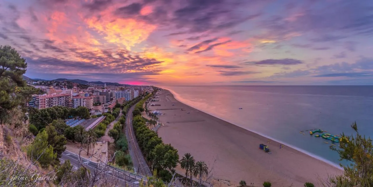 ****  Summer Hotel Calella Spagna