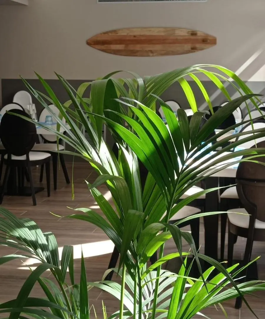 Summer Hotel Calella 4*,